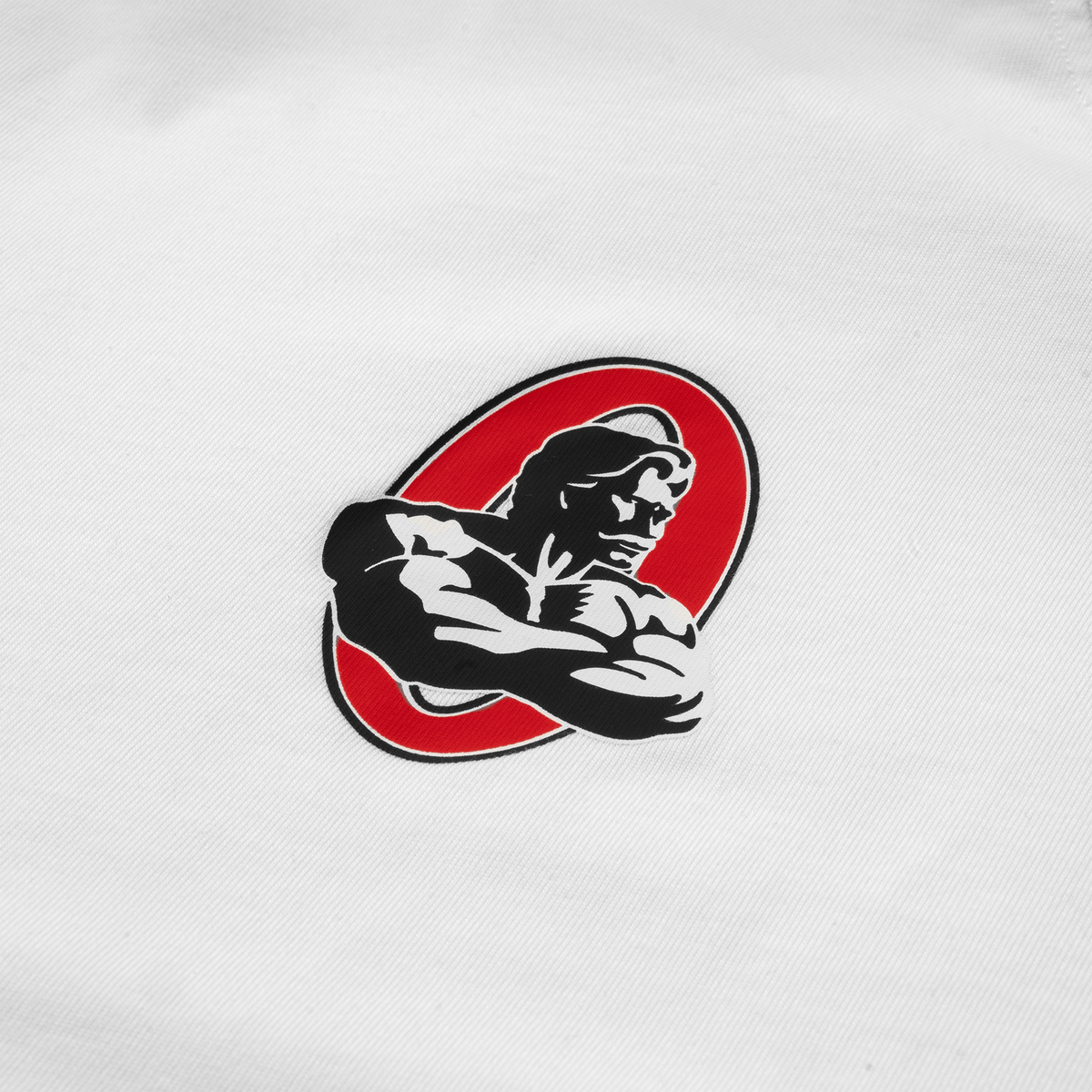 Front Logo Detail (Close-Up)