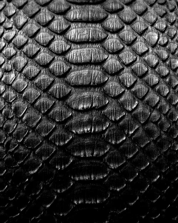 Handcrafted from Genuine Python Hide